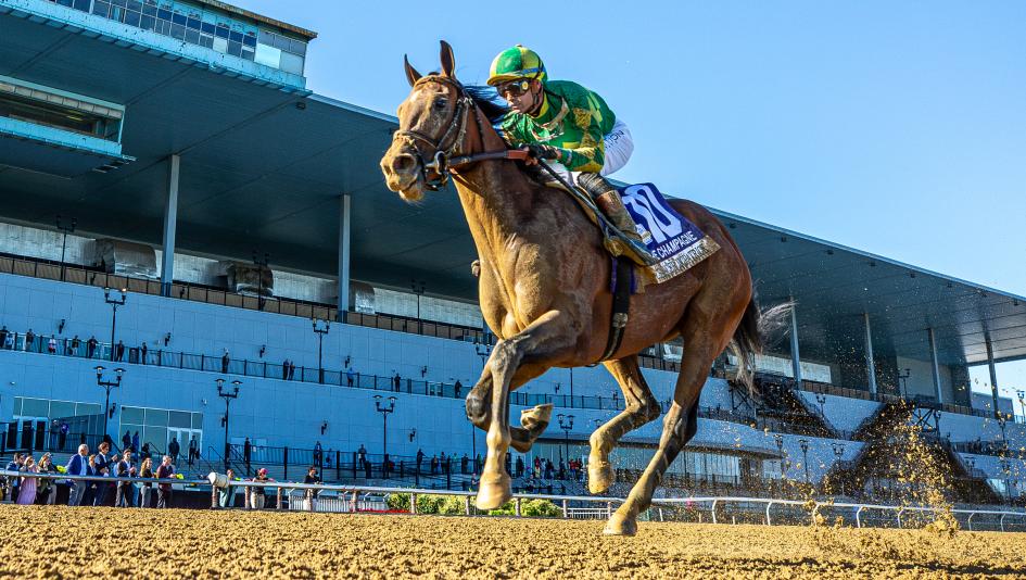 Champagne Stakes, Aqueduct, Chancer McPatrick, Breeders' Cup Juvenile, Santa Anita Park, Chad Brown, Eclipse Sportswire Champagne Stakes, Aqueduct, Chancer McPatrick, Breeders' Cup Juvenile, Santa Anita Park, Chad Brown, Eclipse Sportswire